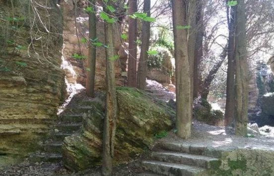 The Amazing Forest - Rodini Park In Rhodes