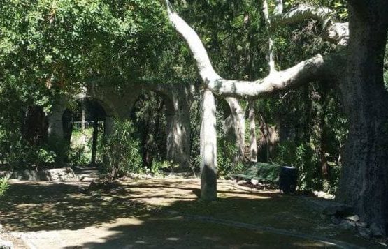 The Inward Path - Rodini Park In Rhodes