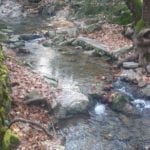 The Flowing Water Of The Seven Springs